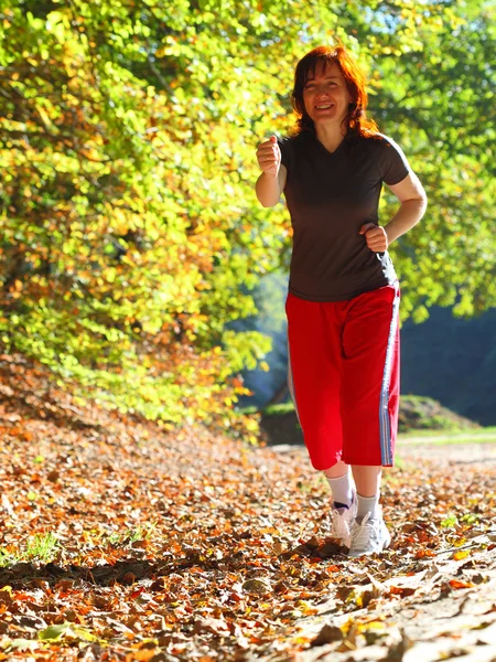 Çapraz ülke iz sonbahar ormanda yürüyen kadın — Stok fotoğraf