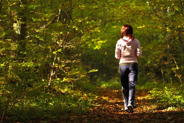ผู้หญิงเดินข้ามประเทศในป่าฤดูใบไม้ร่วง — ภาพถ่ายสต็อก
