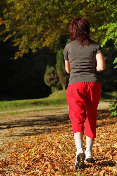 Chemin de randonnée femme dans la forêt d'automne — Photo
