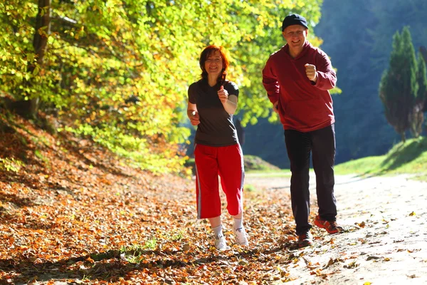 Woman and man walking cross country trail in autumn forest — Stock Photo, Image