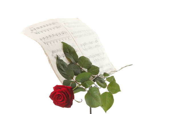 Red rose and old notes Sheet music