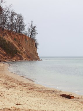 sonbahar cliff, orlowo, gdynia, Polonya