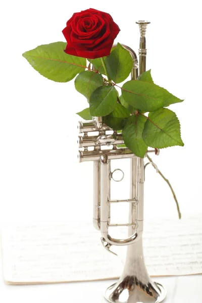 Červená růže a staré poznámky hudebnin trubka — Stock fotografie