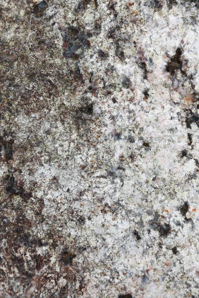 Roccia texture sfondo primo piano — Foto Stock