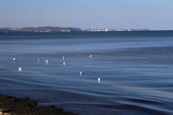 Paisagem azul do mar ao ar livre - Polónia Europa Gdynia — Fotografia de Stock