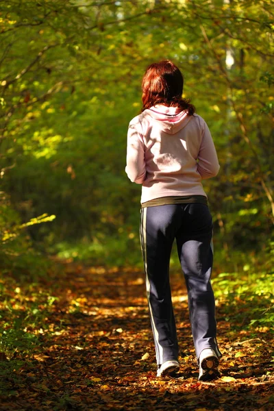 stock image Woman walking cross country trail in autumn forest
