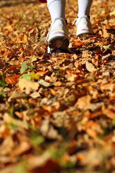 Frau läuft Langlaufloipe im Herbstwald — Stockfoto