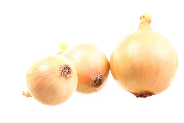 Onions isolated — Stock Photo, Image