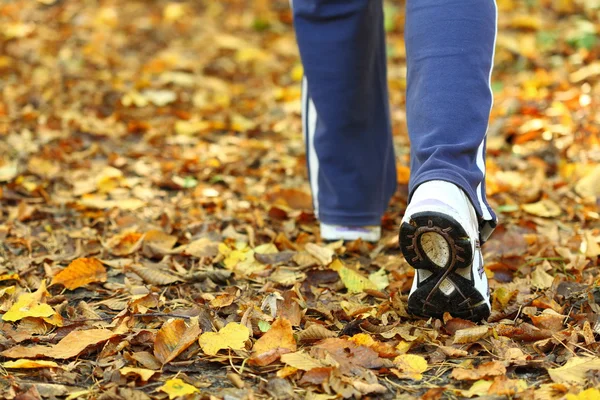 Kereszt-ország nyomvonal őszi erdőben sétáló nő — Stock Fotó
