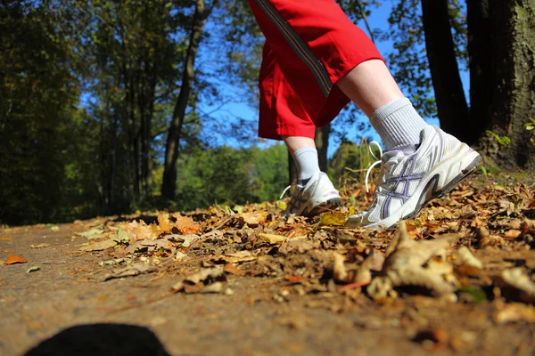 Kobieta Krzyż kraju szlak w lesie jesienią — Zdjęcie stockowe