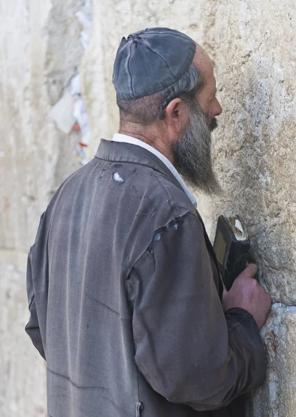 Gebet in der westlichen Mauer — Stockfoto
