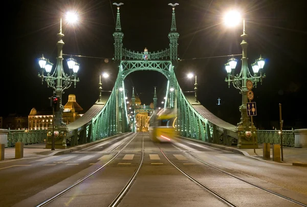 Freedem most v Budapešti — Stock fotografie