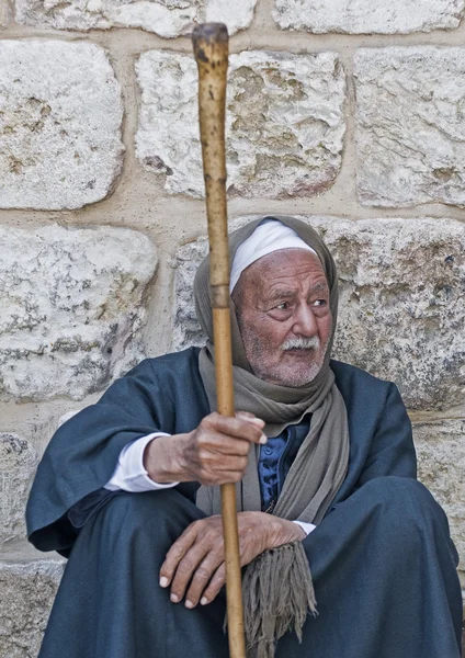 Copt egipski — Zdjęcie stockowe
