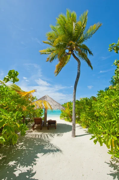 Stranden wth kokospalmer och solstol — Stockfoto