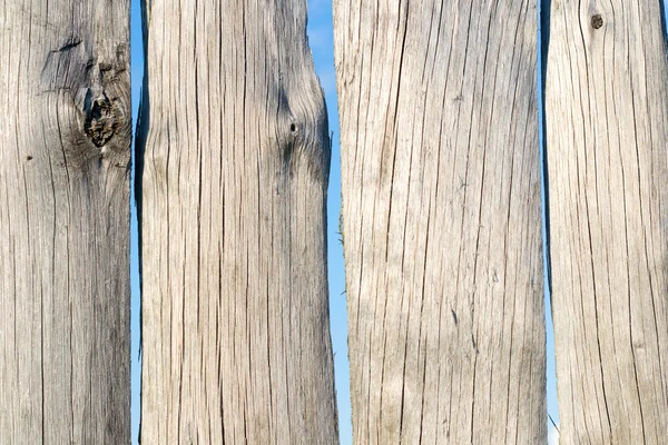 오래 된 나무 판자 스톡 사진