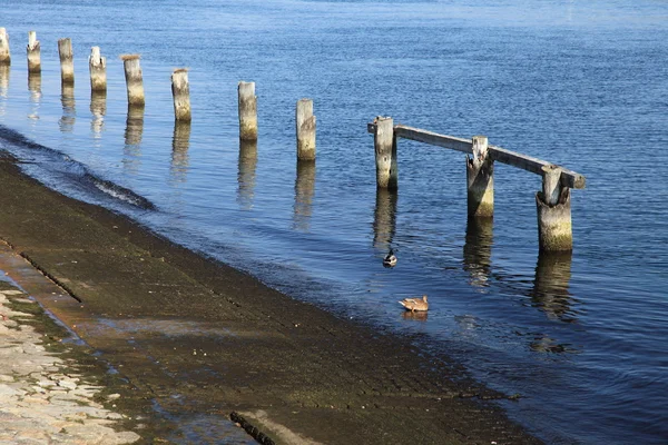 Rows of piles on the sea beach — Stock Photo, Image