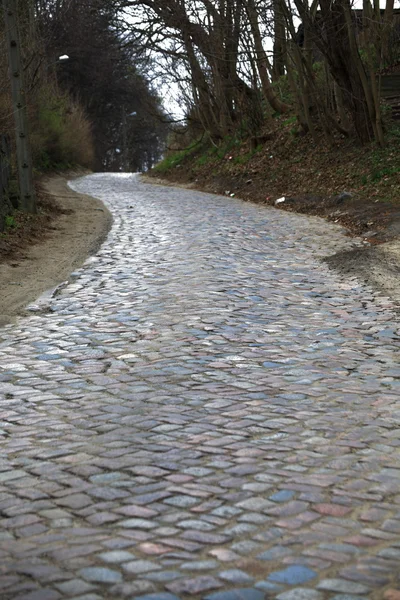 An old cobbled road — Stock Photo, Image