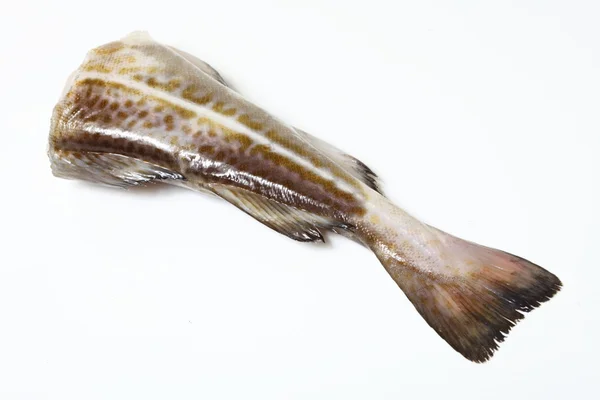 Bacalao - filetes de pescado — Foto de Stock