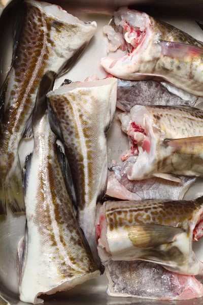 Cod fish - fish fillets