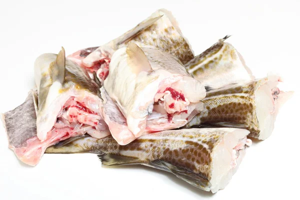 Cod fish - fish fillets — Stock Photo, Image