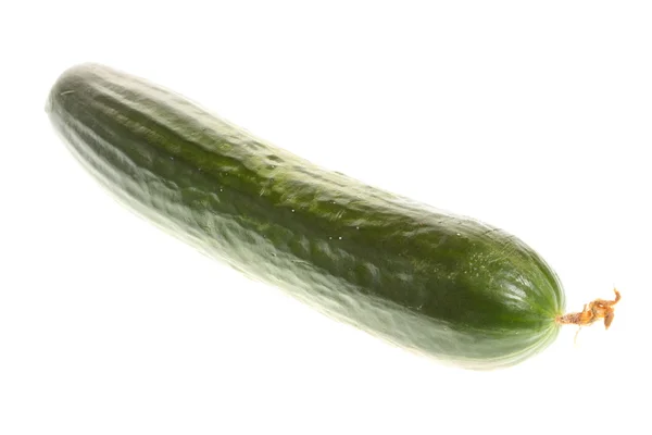 Groene komkommer geïsoleerd — Stockfoto