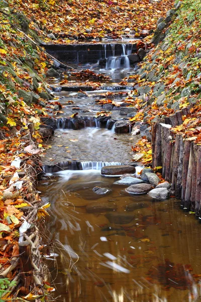 Caída de agua de un arroyo —  Fotos de Stock