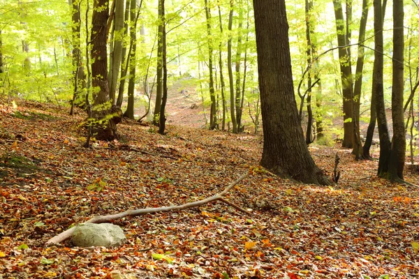 Landsbygdens hösten landskap — Stockfoto