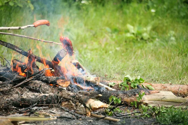 Máglya tábortűz tűz, lángok, grillezés steak grill — Stock Fotó
