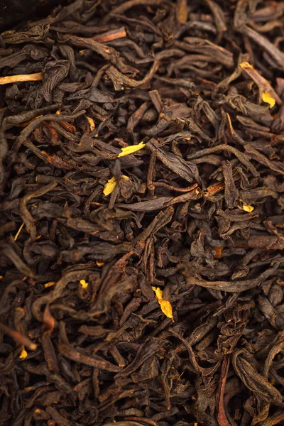 Sacos de chá - Saco de chá — Fotografia de Stock