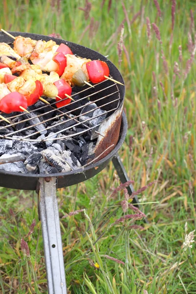 Bonfire lägereld eld lågor grillning steak bbq — Stockfoto