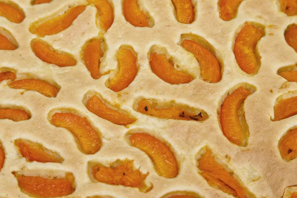 Apricot pie — Stock Photo, Image