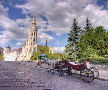 Carriage in Budapest clipart