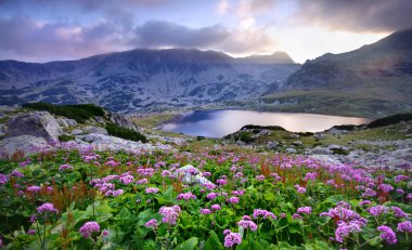 Lake on mountain and flowers clipart