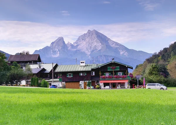 stock image Alpine mountain and green grass