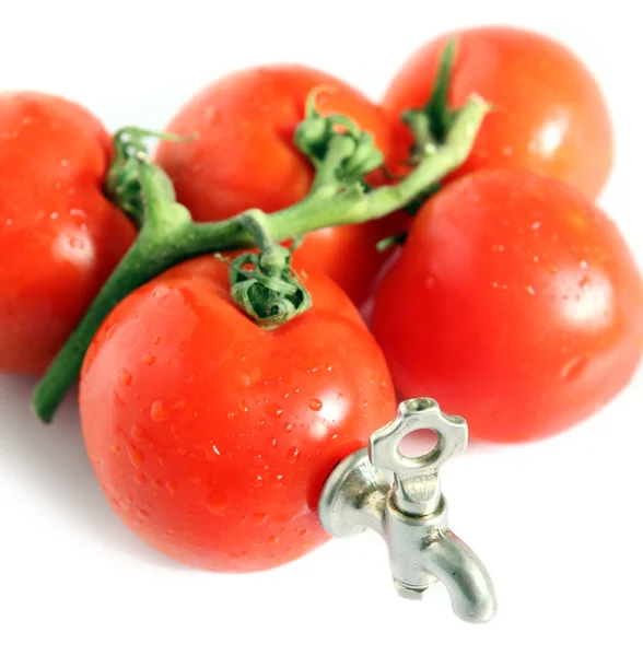 Świeży pomidor z dźwigiem — Zdjęcie stockowe