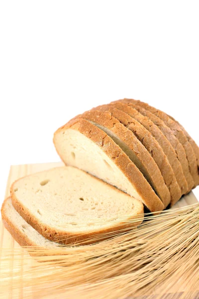 Blé à pain — Photo