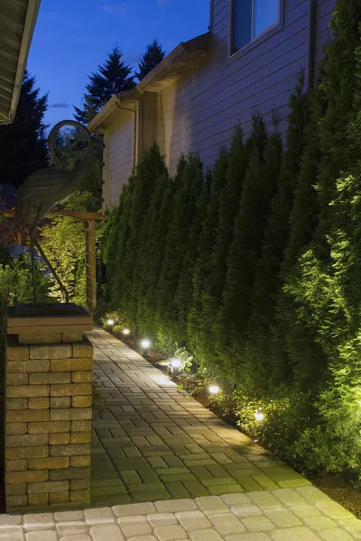在晚上的后院花园路径 — 图库照片