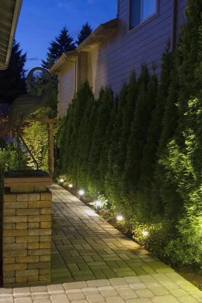 Bakgård trädgård väg på natten — Stockfoto