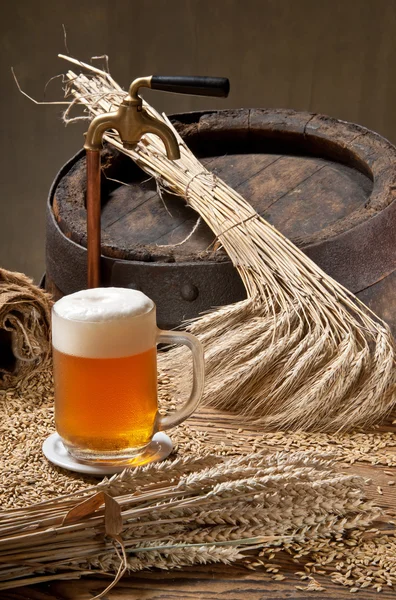 Beer with malt and spigot — Stock Photo, Image