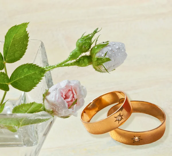 Rosa con anillos — Foto de Stock