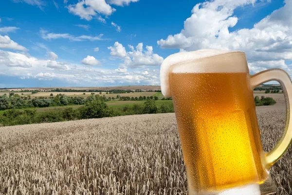 stock image Beer glass with landscape