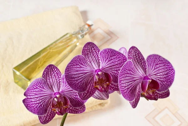 Orkidé i badrummet — Stockfoto