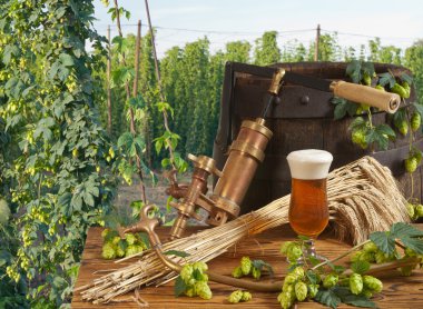 Beer and hop garden clipart