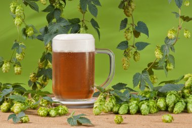 Beer glass with hops clipart