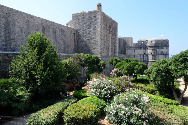 Dubrovnik, erőd ősi városfalakon — Stock Fotó