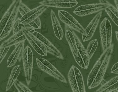 Australian gum leaf pattern on eucalyptus green background clipart