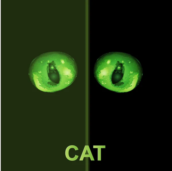 Hypnotic green cat eyes in darkness. Vector illustration — Stock Vector