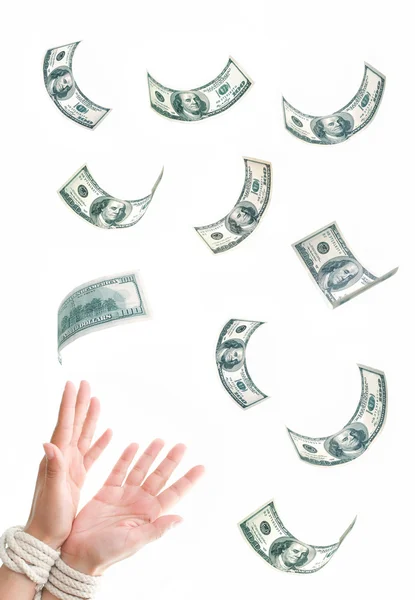 Hands tied dollars — Stock Photo, Image