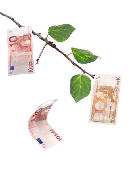Árbol de dinero —  Fotos de Stock