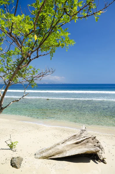 Praia e costa perto de dili em timor leste — Fotografia de Stock